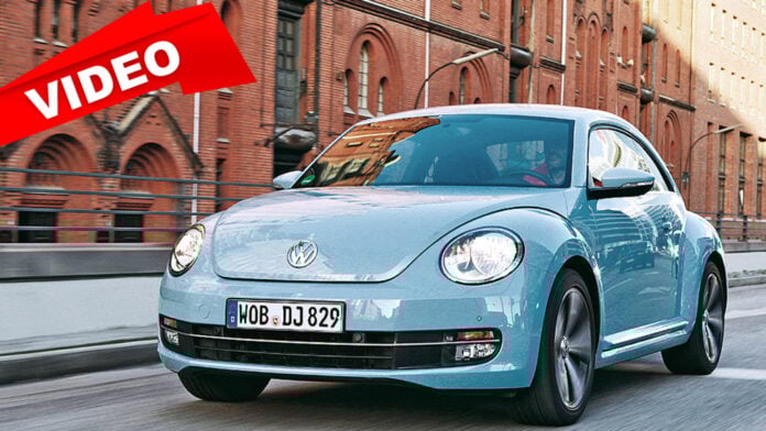 Beetle Reveals Its Weakness During Inspection