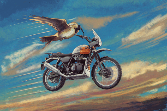 A Royal Enfield Himalayan Motocross Bike Takes Flight Like a Bird or
