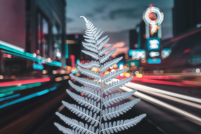 Silver fern scheme revealed for SVG at Las Vegas